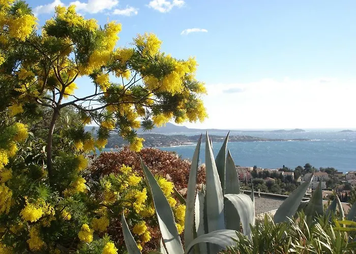 T2 Ideal 2 Etoiles Bandol