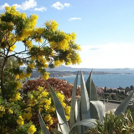 T2 Ideal 2 Etoiles Bandol